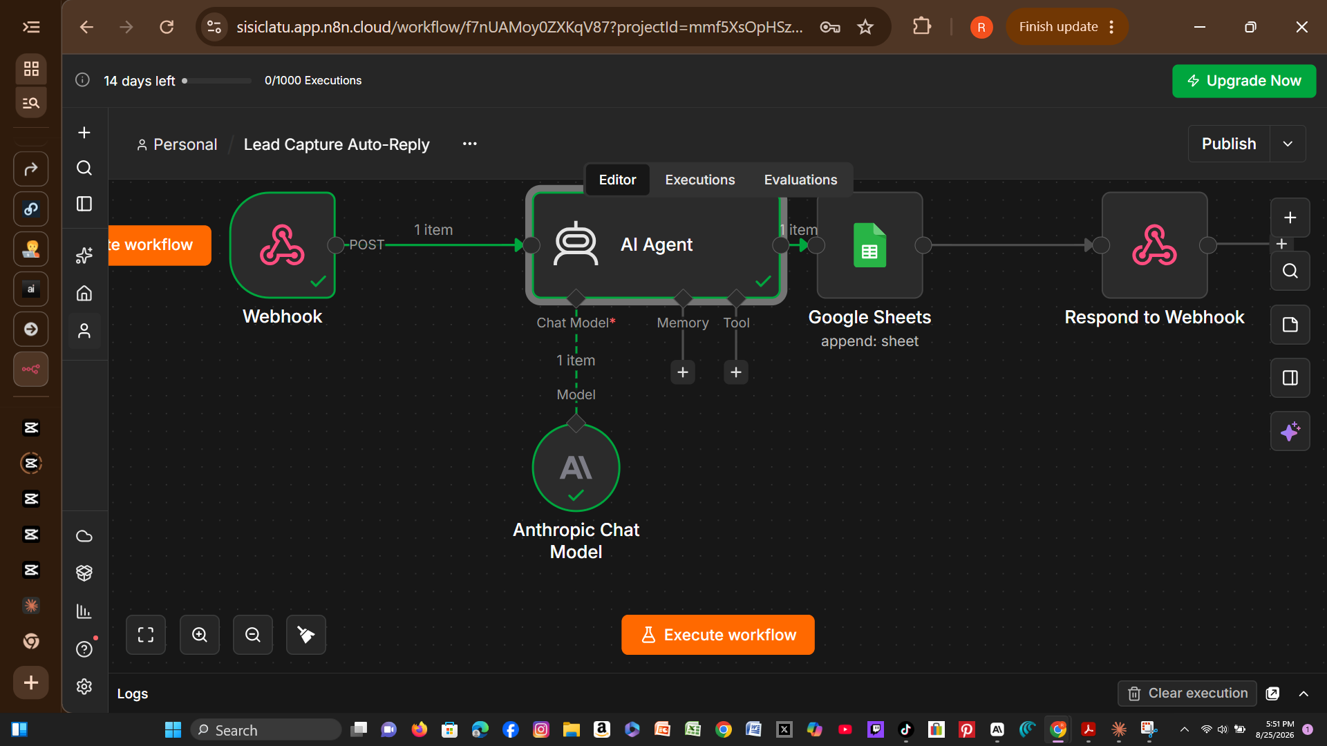 Successful Execution — Lead Capture Auto-Reply n8n automation